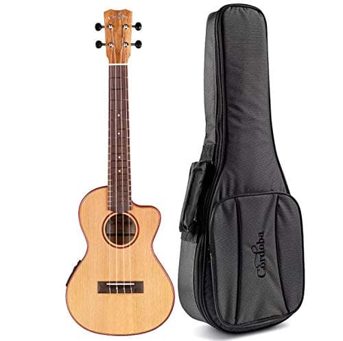 Cordoba 24B Baritone Ukulele Bundle W/Gig Bag