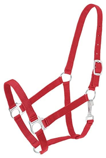 Blessing Horse Horse Halter (RED)