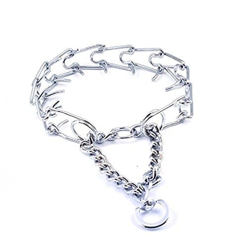 Dog Prong Pinch Collar-Large