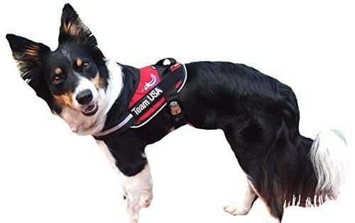BrilliantK9 Ergonomic Dog Harness