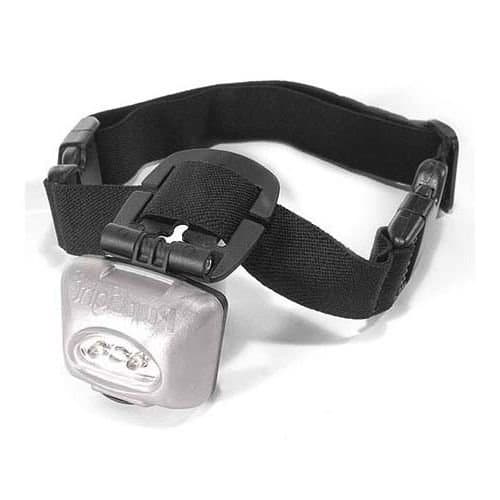 Dog Handsome Winner Champion Collars