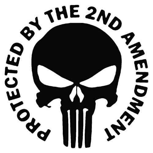 KCD Punisher Protected by The 2nd Amendment Vinyl Decal Sticker|Walls Cars Trucks Vans Laptops|Black|5.5 in|KCD724B
