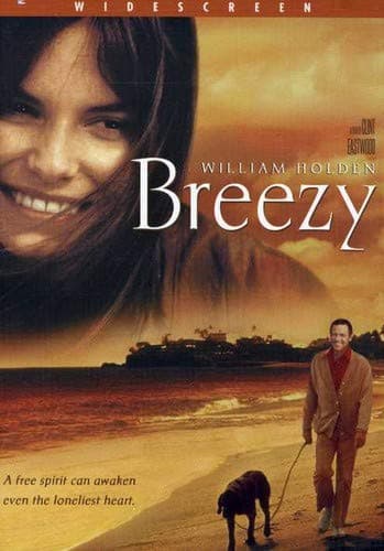 Breezy [1973] (NTSC) (REGION 1) [DVD]