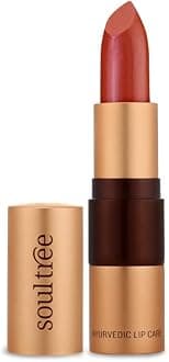 SoulTree Ayurvedic Lipstick - Colour Deep Blush 820, 4gm | Creamy Texture | Enriched with Organic Ghee & Almond Oil | Moistured & Nourished Lips | 4gm