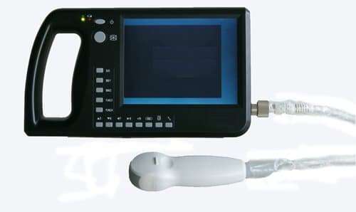 Easywell Digital Handheld Ultrasound Machine EW-B09V in Veterinary Software with Micro-convex Probe in Black Color