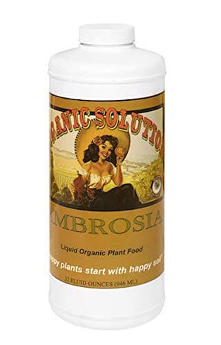 Earthworm Tea Organic Casting Tea Liquid 1 Quart Ambrosia