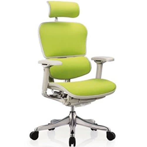 Ergohuman Executive Chairs (with Grey Frame.Green Fabric)