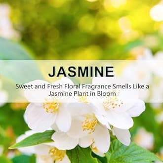 ROSE COTTAGE Large 12 Packs Jasmine Hanging Closet Deodorizer Air Freshener Long Lasting Scented Sachets Smell Goods for House