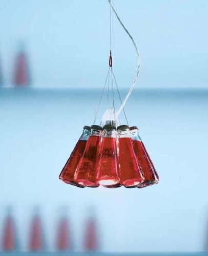 Campari pendant light by Ingo Maurer