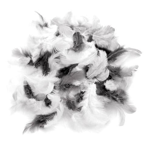 GLOREX Deco Feathers, Multi-Colour, 20.5 x 8.5 x 0.3 cm