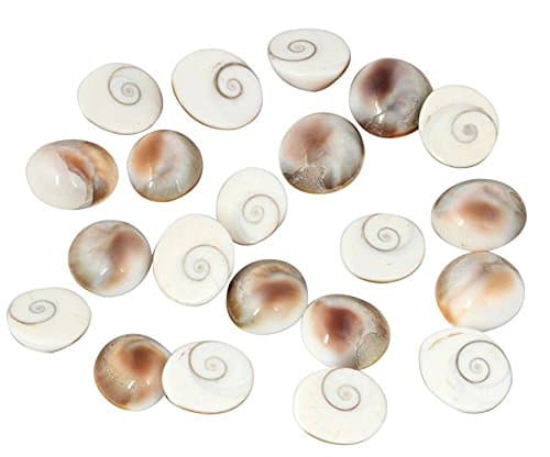 RUDRADIVINE Gomati Chakra (Off-White)