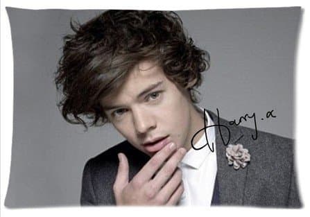 One Direction 1D Harry Styles Charming Pandora Design Custom Zippered Pillow Case 20x30 (twin sides print)
