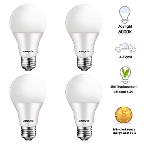 A19 LED Light Bulbs 40W Equivalent (5.5W), 5000K Daylight, 450 Lumens, Non-dimmable, Standard E26 Base, UL Listed, 4 Pack