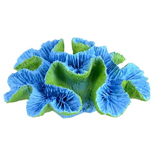 Underwater Treasures Open Brain Coral - Blue - Large