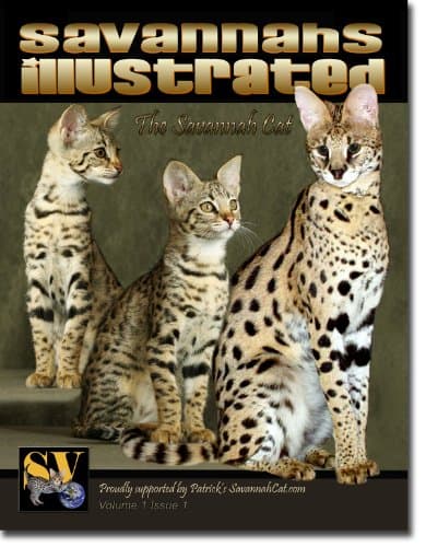Savannahs Illustrated, The Savannah Cat
