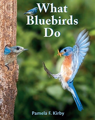 What Bluebirds Do
