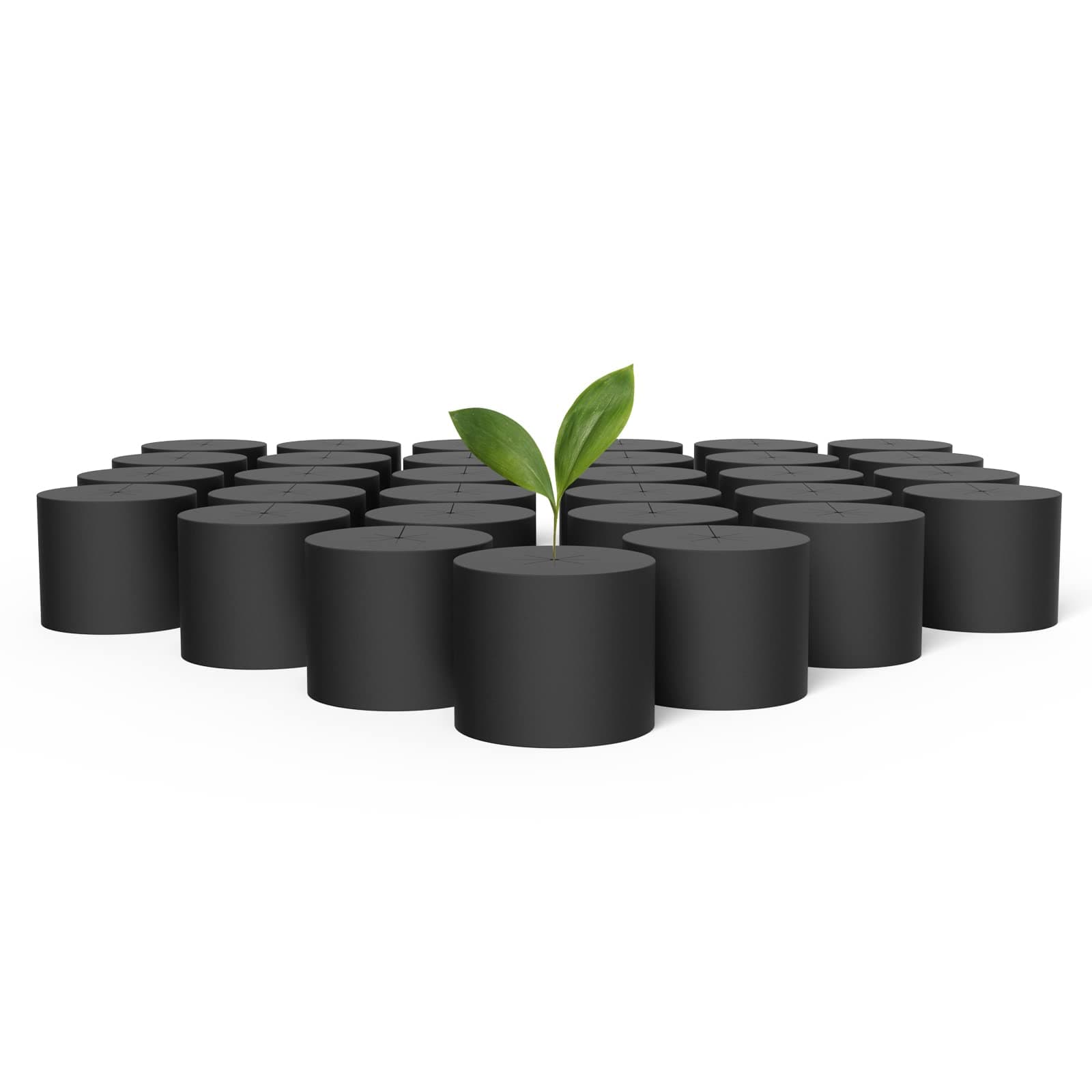 Clone Collar 7cm, Cloner Inserts with 8-Spoke Design, 50-Pack for Use with Net Cups in Hydroponics Growing Systems, Aeroponics, Cloning Machines, and Home Gardening, 3-Inch