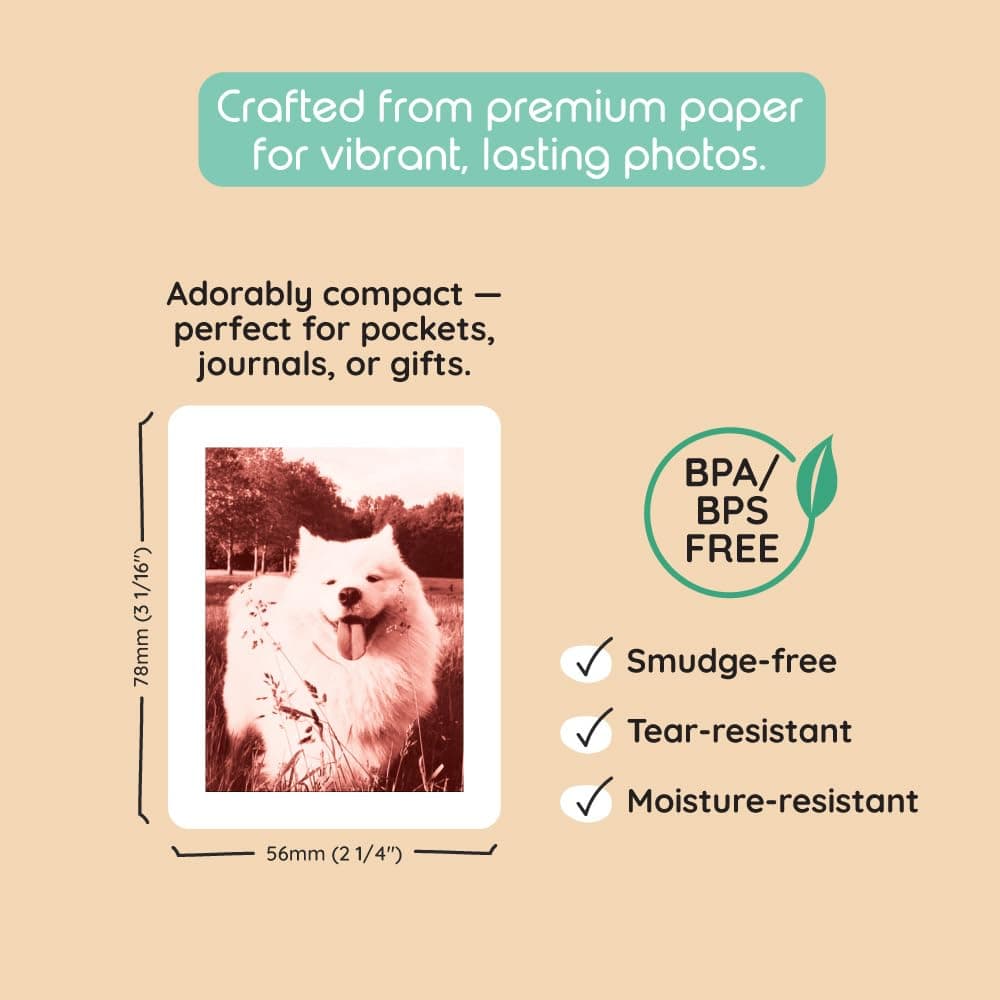 kiimento Print Pack for P2 Instant Print Camera, 40-prints Variety, Ink‑Free Thermal Cards, 78×56 mm Vertical, BPA & BPS Free, 4 Styles (10 Each): Timeless, Golden, Calm, Sweet