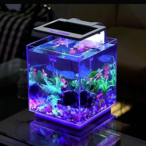 Aquarium Kit (Include Filter + LED Light) (15L - Cube)