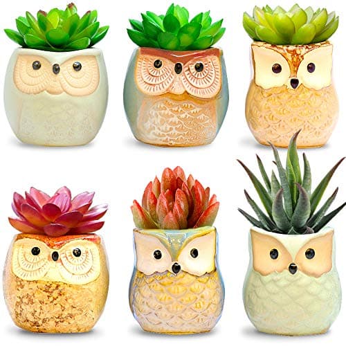 Amaze Owl Assorted Artificial Succulent Plants and Owl Planters | Set Of 6 Mini Faux Plants and Ceramic Pots | Indoor Office Table Decorations| Housewarming Ideas| Living Room Table Shelf Desk Decor