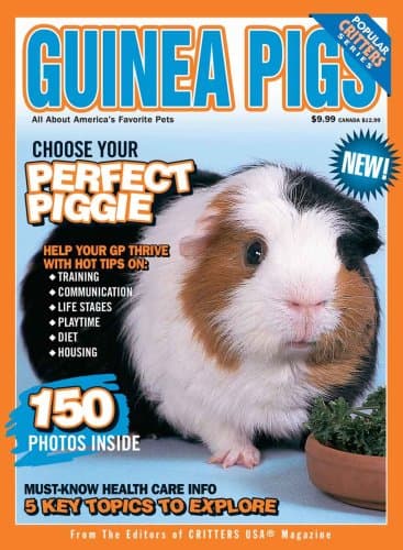 Guinea Pigs Paperback – January 1, 2005