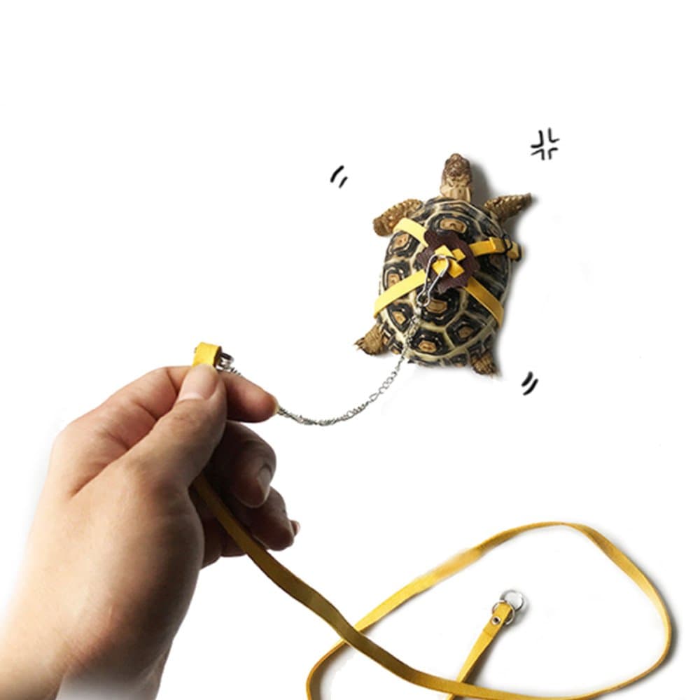 ASOCEA Pet Leather Harness Strap Walking Control Rope Great for Tortoise/Turtle Reptile Yellow