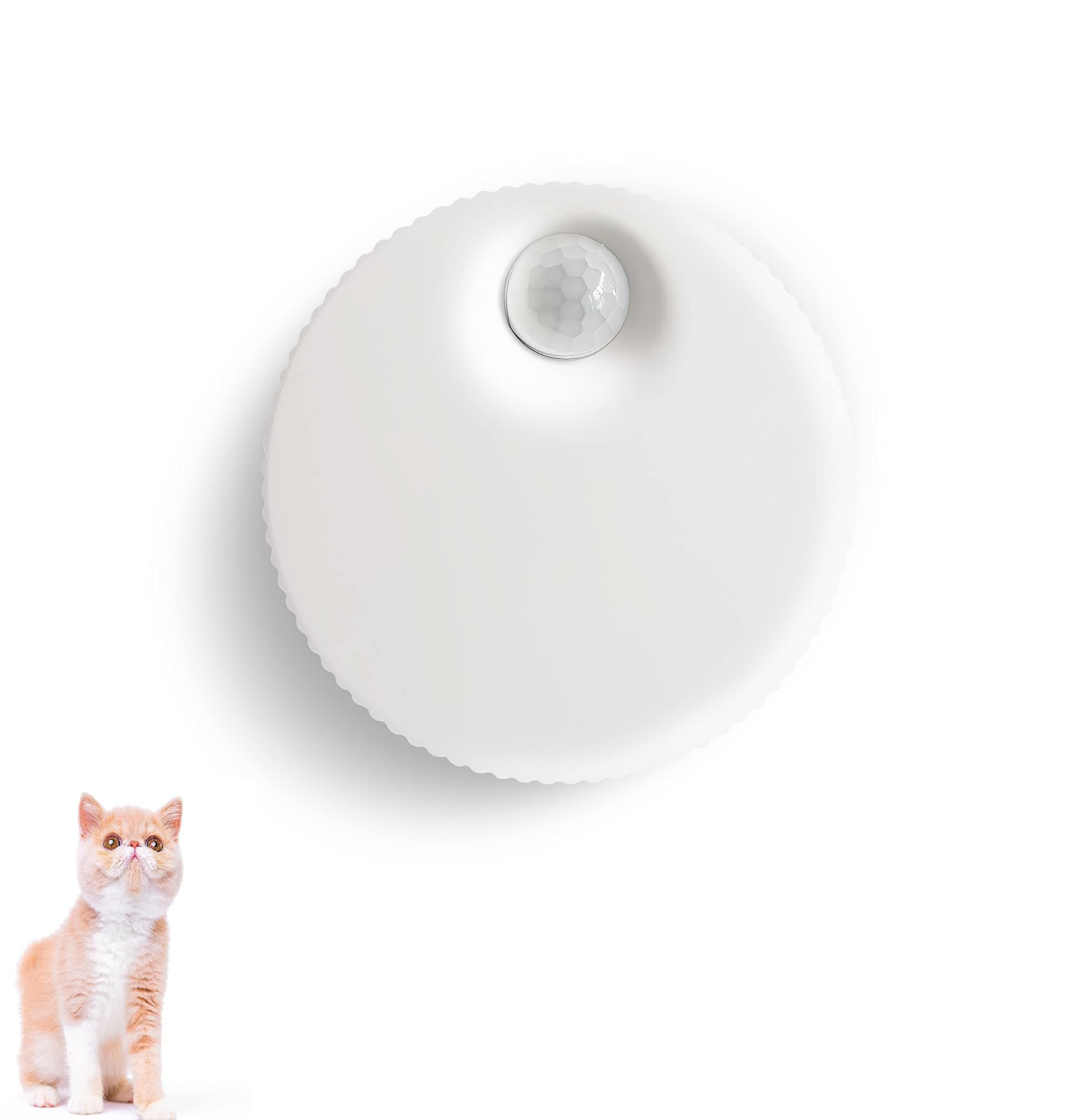 AMOY Unscented Smart Cat Litter Odor Eliminator | Rechargeable Mini Deodorizer for Dog Toilet/Cat Litter Box/Small Area| Cat Genie Cat Box| Dust-Free