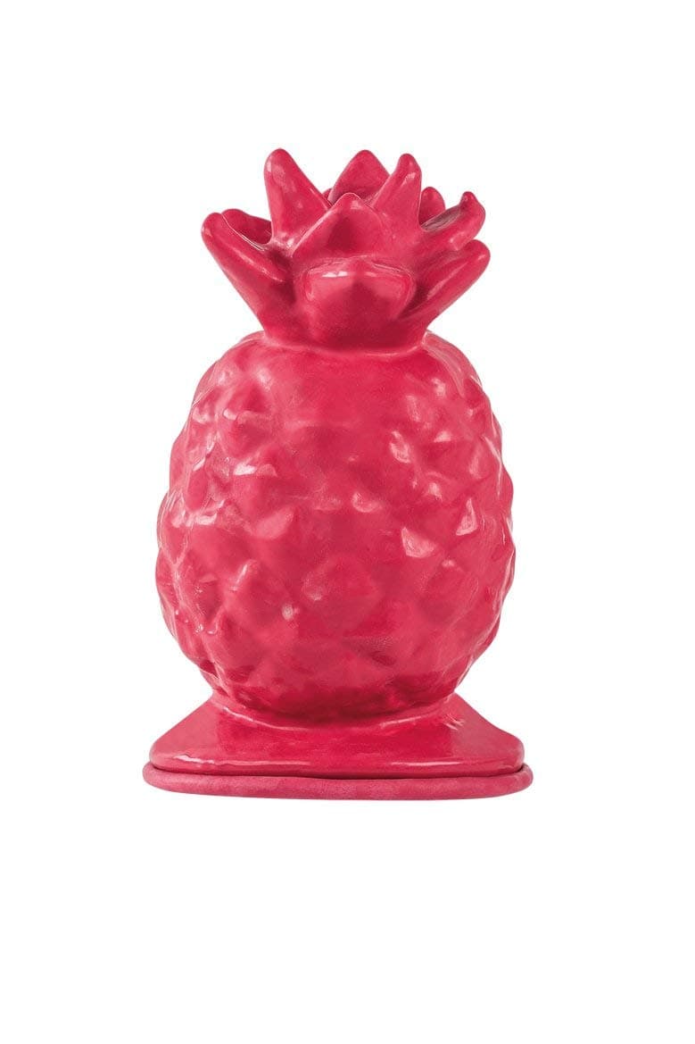 Rayher Pineapple Full Form Latex Casting Mould, Red, 9.5 x 15 cm