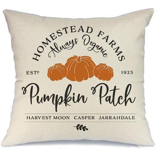AENEY Fall Decor Pillow Cover 18x18 inch Pumpkin Patch Throw Pillow for Fall Farmhouse Fall Decorations Decorative Pillow Cover A246