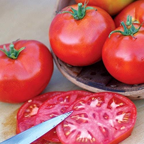 Burbank Red Slicing Tomato Seeds (40 Seed Pack)