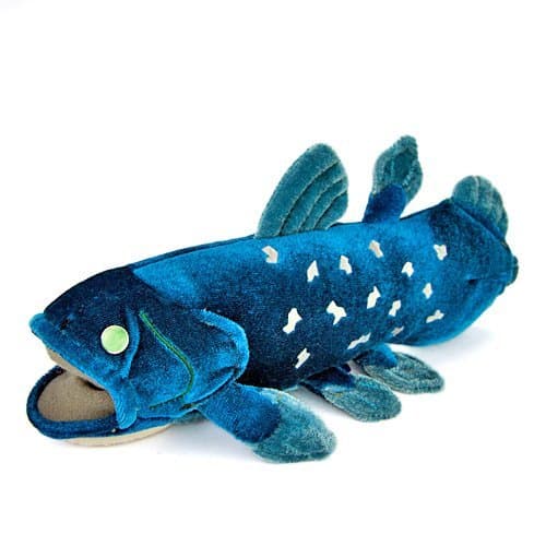 Real stuffed coelacanth S size (japan import) by Karorata stuffed