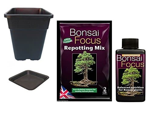 Bonsai Focus repotting Mix 2 Litre Bag & Bonsai Focus 300ml & Premium Square 2 Litre Pot & Saucer