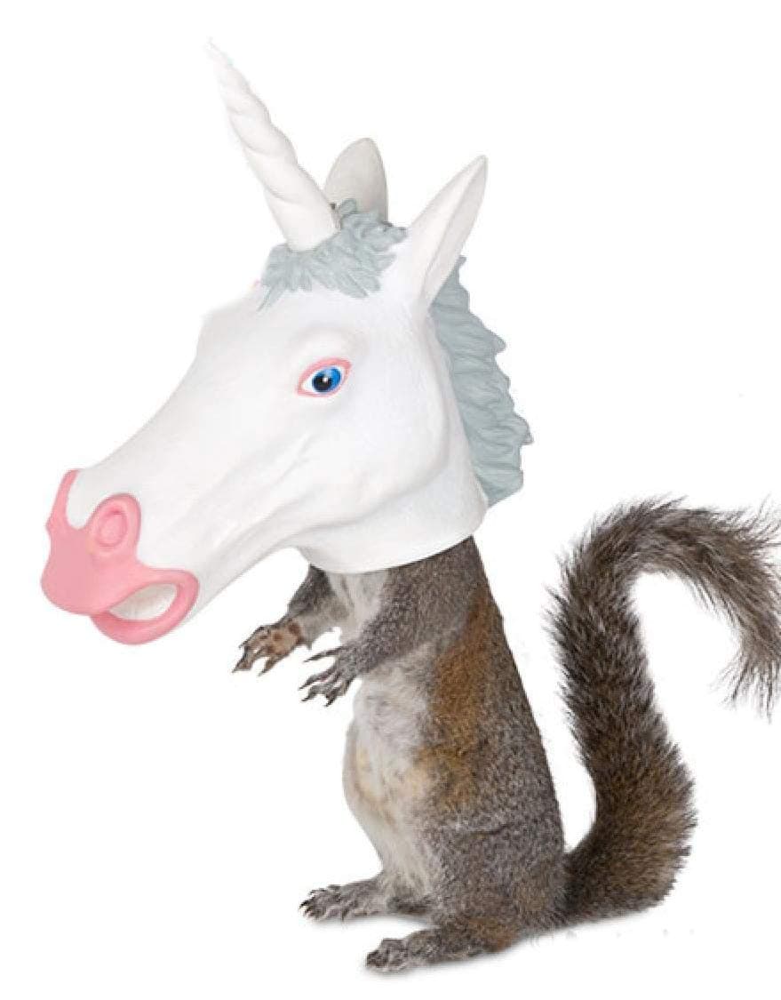 Unicorn Head Squirrel Feeder by Archie McPhee