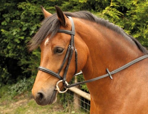 Windsor Equestrian Horses Bridle  Brown  Pony