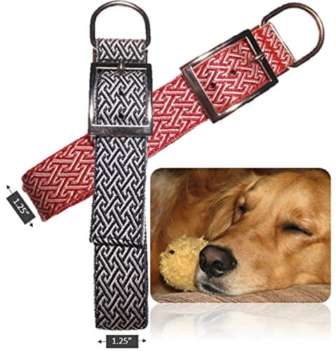 Flash Sale Genie Best Basic Dog Collar (2 for 1) 1.25" Width for Medium Dogs with Strong/Long Necks (Neck Sizes 10”-16). Cushion Nylon Collars With Padding & Metal Buckle D-Ring