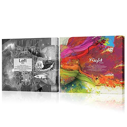 VVOVV Wall Decor Modern Giclee Canvas Prints Left and Right Brain Differences Functions Picture Poster Einstein Human Brain Abstract Illustration Painting Decor for Study Room 16x16inchx2Pieces