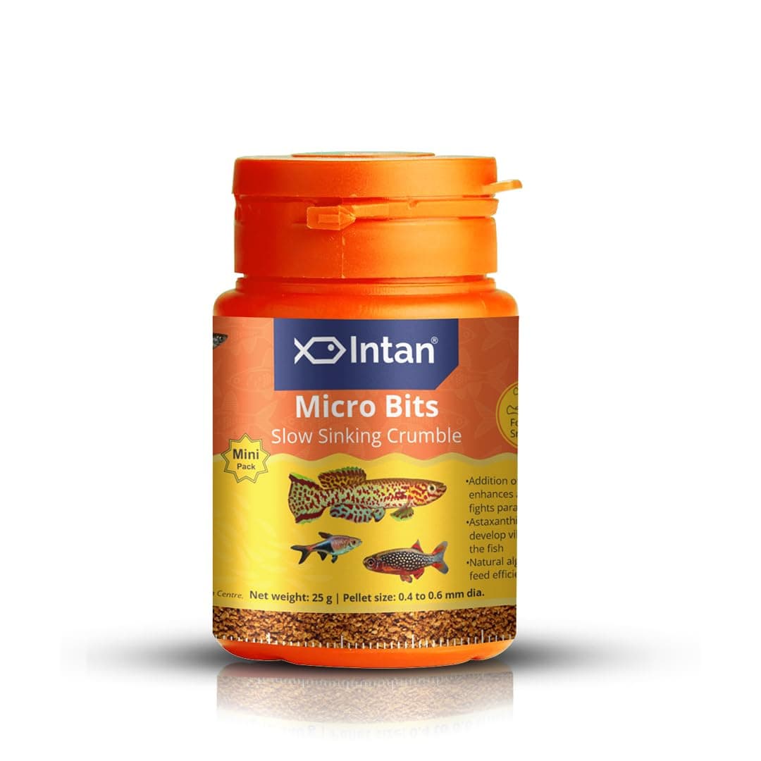 - Intan Micro Bits (0.4-0.6mm Slow Sinking Crumble) | 25gm - Highly Nutritious Ornamental Fish Food for Small Mouths - Killifish, Tetras, Rasboras & Danios | Growel Feeds