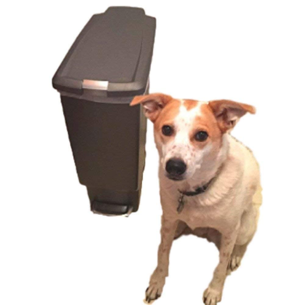 Locking Trash Can Dog-Proof 10 Gallon Kitchen Rubbish Step Tall Slim with Lock Lid Garage & eBook by OISTRIA