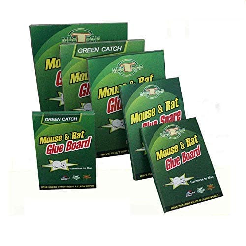 PTCLTRAPS Highly Effective Mouse and Rat Glue 4 Traps