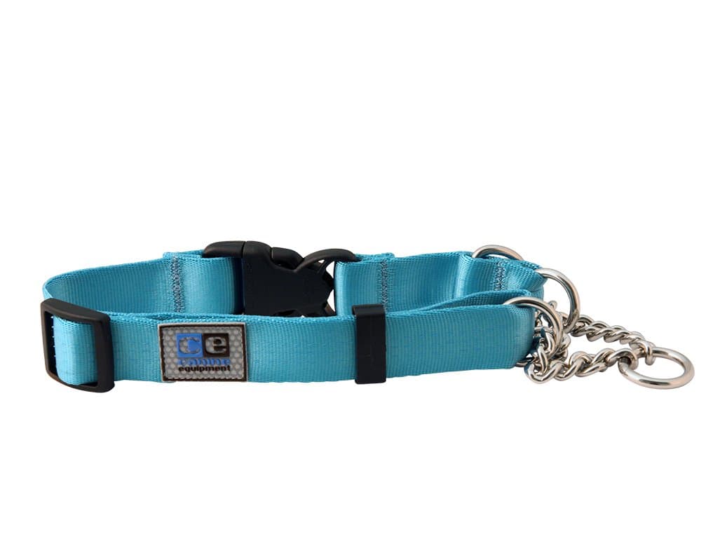 Canine Equipment Technika Quick Release Martingale Dog Collar, Medium/1", Aqua