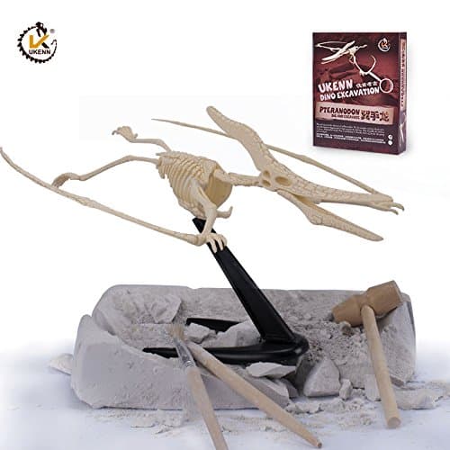 Dinosaur Excavation Kit - 6 Type Dinosaur Dig Kit Toy (Pteranodon)