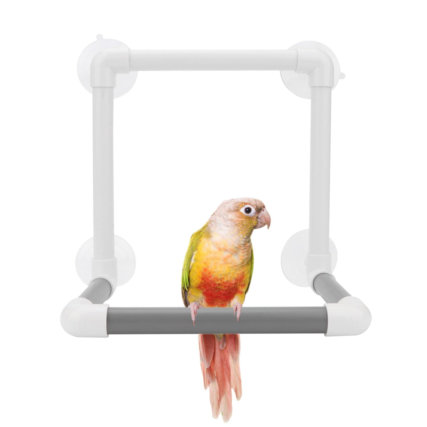 Bird Portable Suction Cup Parrot Shower Perch Window Standing Platform Shower Bath Toy for Bird Parrot Macaw Cockatoo African Greys Budgies Parakeet Cockatiel