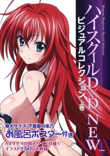 High School DxD New Visual Collection ~ First Volume (Megami Magazine Special Selection) [JAPANESE EDITION] JP Oversized – January 1, 2014