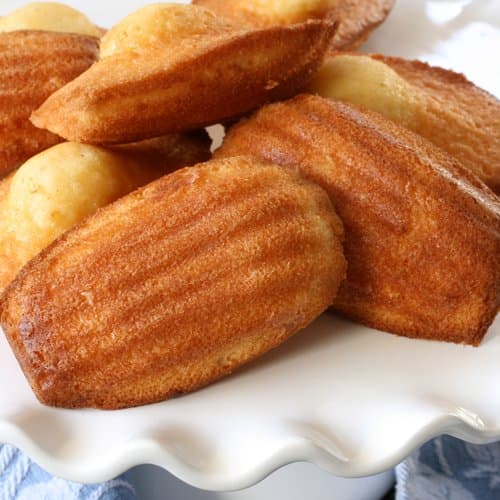 French Madeleines - Chocolate (7 ounce)