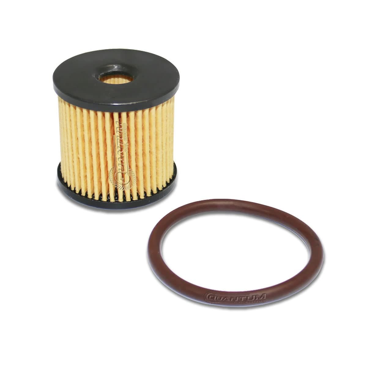 HFP QFS Fuel Filter Kit Replacement for Harley Davidson Fat Bob, Road King, Softail, Glide, Low Rider, Street Bob, Freewheeler,Dyna, Street Glide Trike, 2004-2022, oem 61011-04A