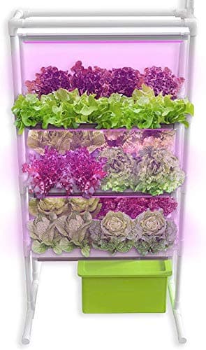 Herb Garden Starter Kit Indoor - Hydroponics Growing System with Nutrients and Herbs Seeds - Heirloom Non-GMO - All in One Ready to Grow (Vertical Herb Garden)