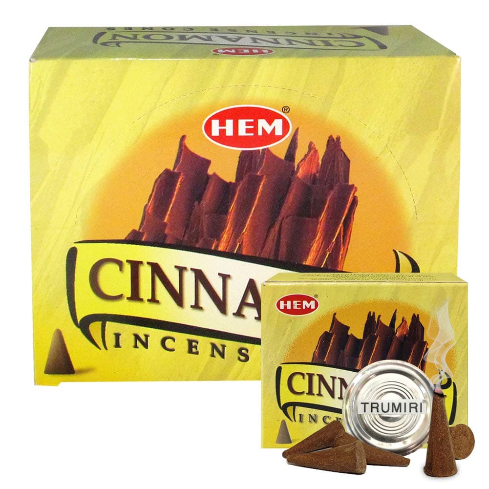 Cinnamon Incense Cones and Cone Incense Burner Bundle Insence Insense Hem Incense