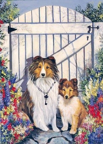 Shetland Sheepdog Gatekeepers-GF