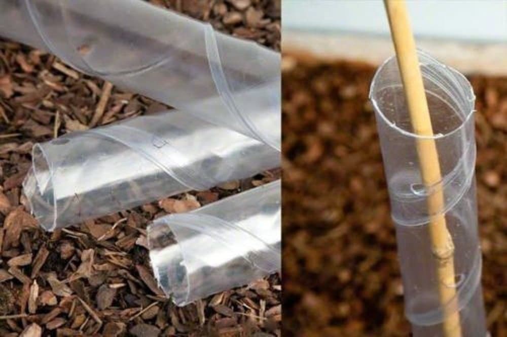 500 x 60cm Hedge Tree Spiral Guards, Rabbit Shelters and 500 x 90cm Bamboo Canes