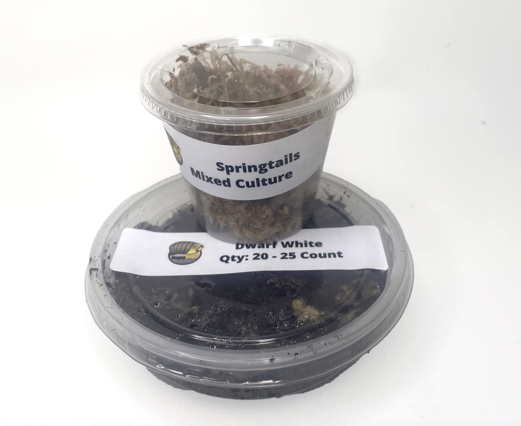 Springtails & Dwarf White Isopods Live Bioactive Clean Up Crew Bundle Reptile Amphibian Food Bundle